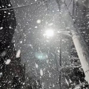 无码人妻丰满熟妇啪啪无
